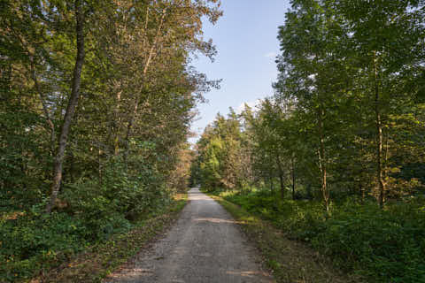 Gemeinde Altötting Landkreis Altötting Forst Fürstenweg (Dirschl Johann) Deutschland AÖ